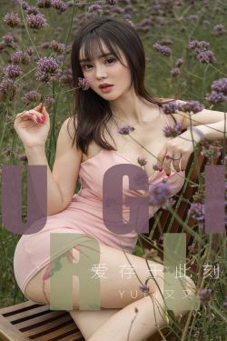 娘家的故事爱的代价